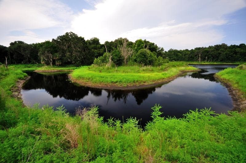 Wetland boardwalk at sunrise